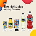thumbnail image 6 of Minute Maid Fruit Punch Juice Drink Fridge Pack Cans, 12 fl oz, 12 Pack, 6 of 14