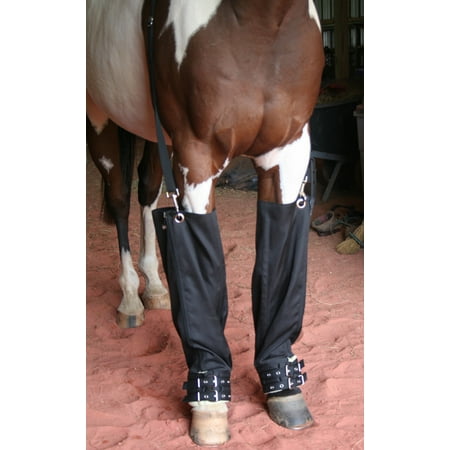 Roma Full Ice Boots for Horses