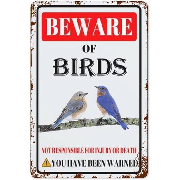 Beware Of Birds Metal Tin Sign Funny Outdoor Home Wall Decor Warning Sign 8x12 Inch
