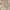Rust, variant on Nourison Oushak Home Persian Mint 5'5" x 7'3" Area Rug (5x7)
