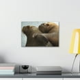 thumbnail image 4 of Funny Walrus Silly Walrus Couple Wall Art Ready To Hang Unframed, 4 of 18
