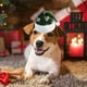 thumbnail image 4 of Gorro navideño con estampado verde, gorro navideño para adultos y niños, gorro navideño para mascotas, gorro decorativo para el día de Navidad, gorro decorativo de tela., 4 of 6