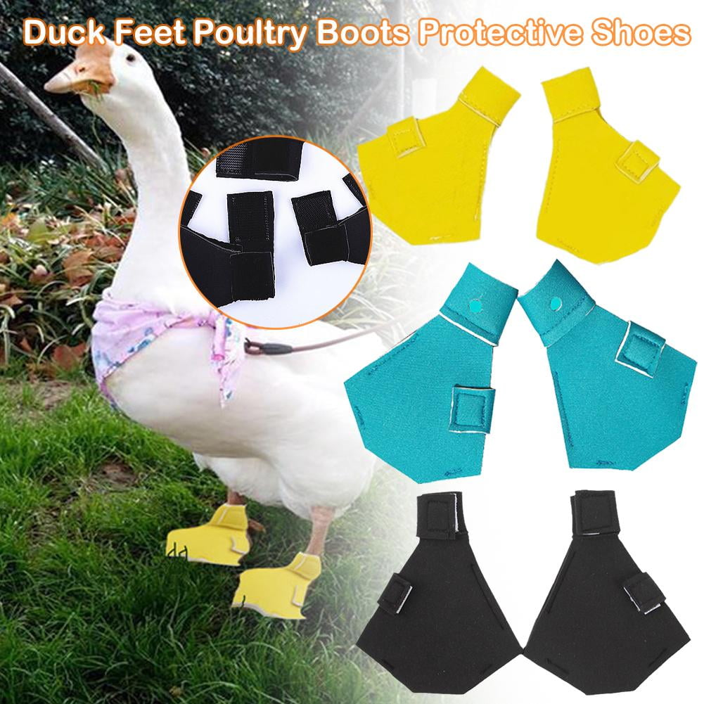 2X Waterproof Lightweight Pet Duck Shoes Casual Walking Booties Footwear NEW P1B6 Walmart