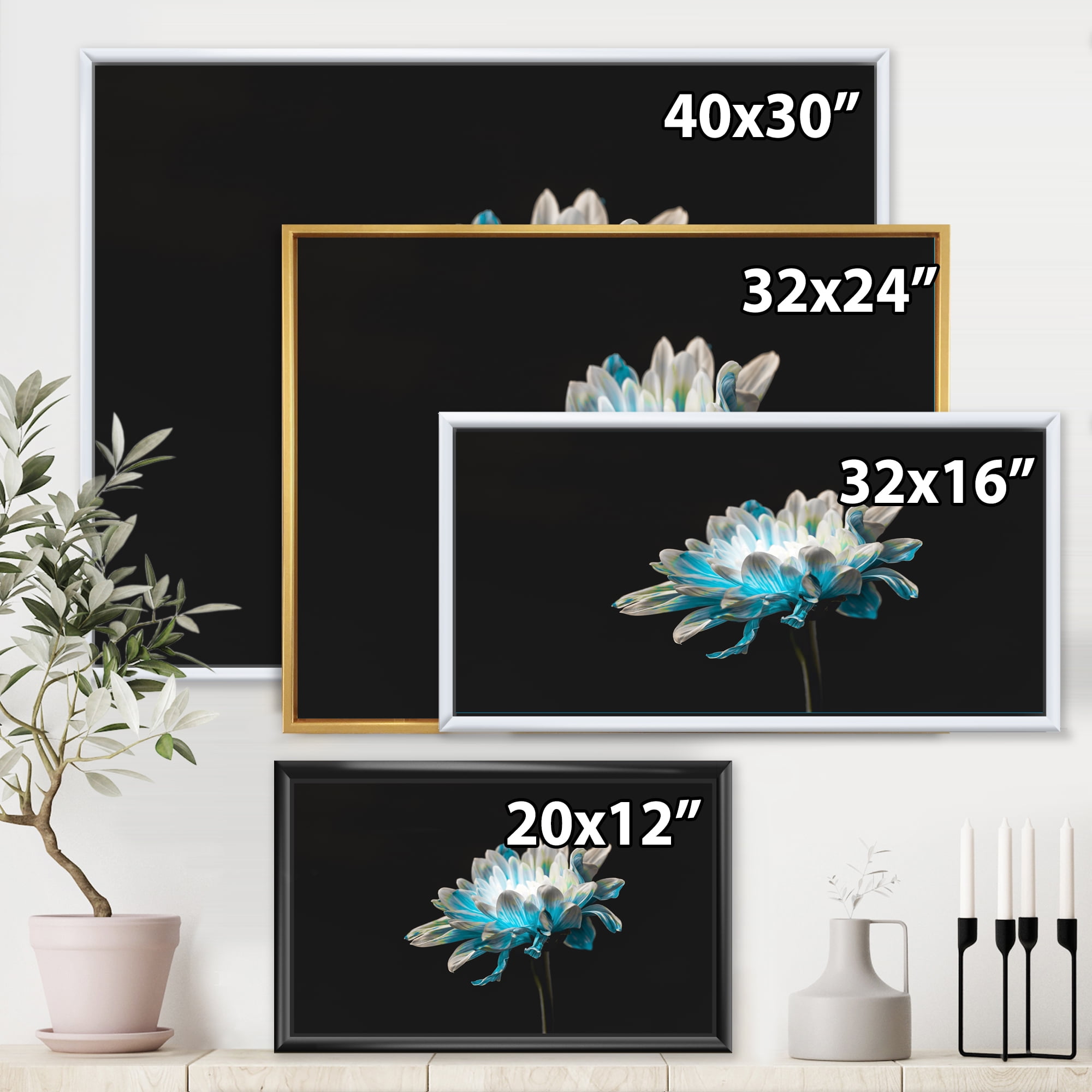 Designart 'Close Up Of White and Pure Blue Daisy Flower I' Traditional Framed Canvas Wall Art Print