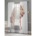 thumbnail image 5 of Funny Pig Sheer Curtains 96 Inches Long 2 Panels Set, Window Sheer Curtains for Living Room/Bedroom, Cute Art Fun Lovely Animals on Toilets Light Filtering Rod Pocket Curtain 52''x96''x2, 5 of 8