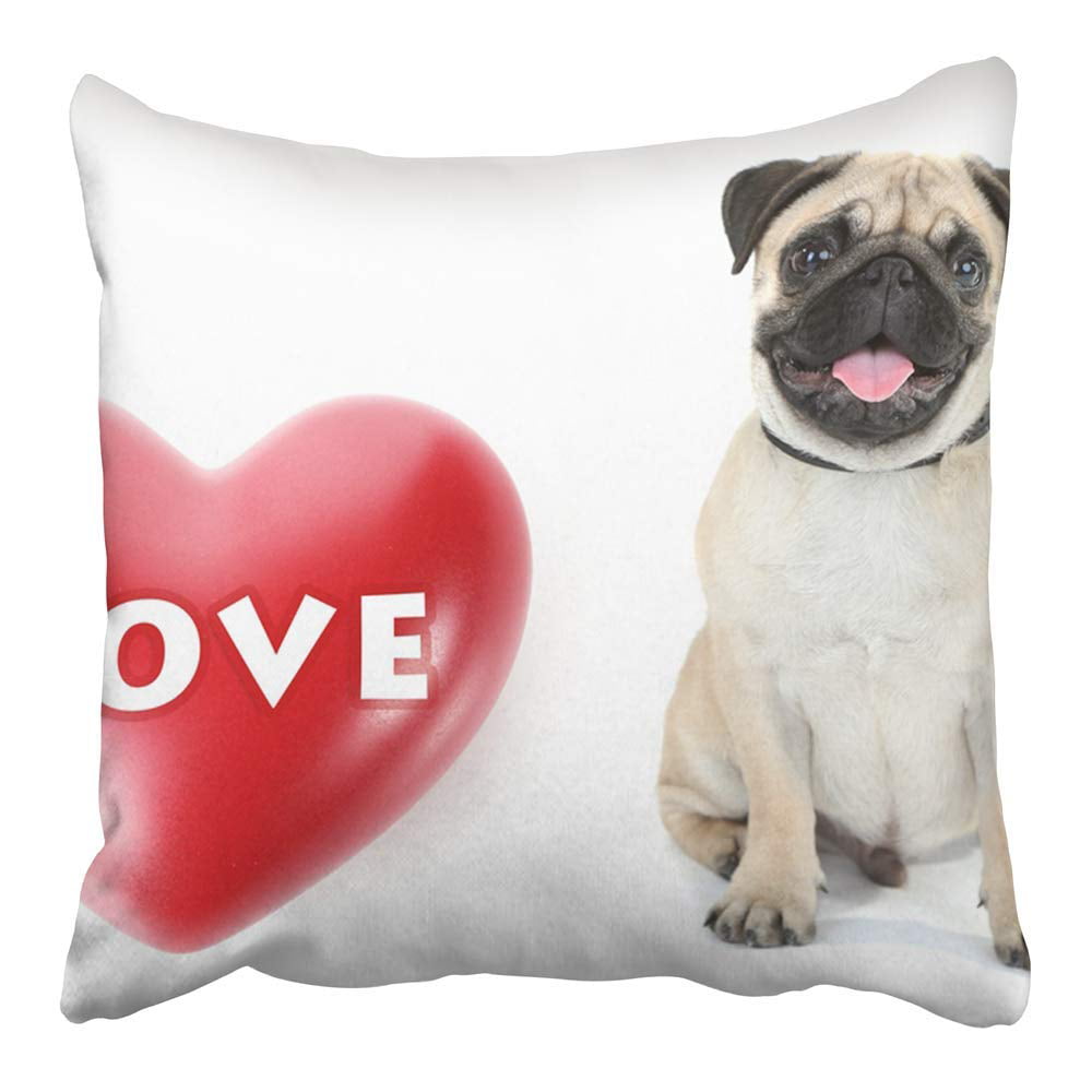 Puppy Lover Gifts Throw Pillow Dog 16x16 Multicolor Pet Lover Gifts Paw Print Red Heart-Cat 