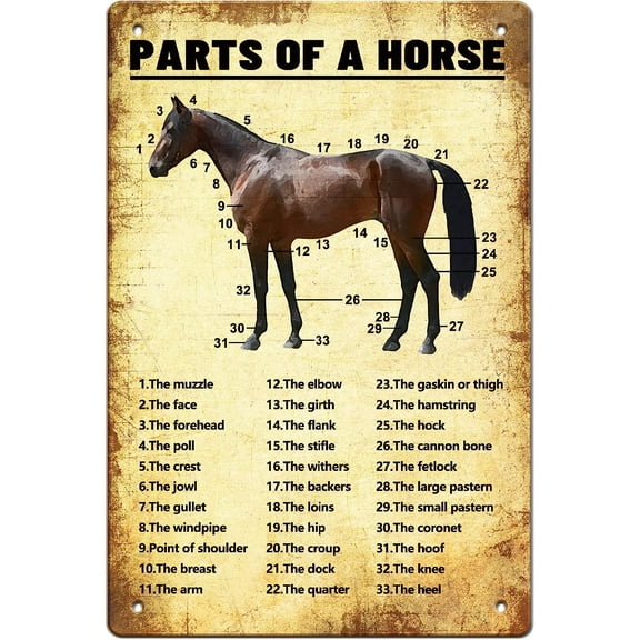 Horse Knowledge Vintage Metal Tin Sign Plaque Poster Retro Metal Wall Decorative Tin Signs 8ﾗ12inch for Home Kitchen Bar Farm Coffee Shop Club Orchard Decoration