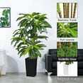 thumbnail image 6 of HKKDKTA Artificial Dracaena Tree 5FT, Fake Plants Indoor with Tall Black Planter, Tall Artificial Plants Indoor for Living Room Home Office Decor, 6 of 7