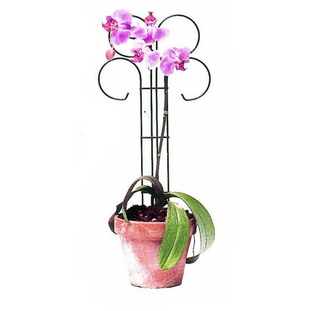 Wren 18" tall x 8" wide Mini Scroll Pot Trellis - Set of 3