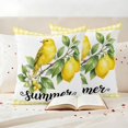 thumbnail image 2 of Pack of 2 Summer Lemon Outdoor Pillow Covers Decorative, Waterproof Pillow Protector, Farmhouse Fruits Birds Leaves Plants Yellow Plaid Throw Pillowcases Accent Cushion Cases for Patio Couch 24"x24", 2 of 8