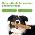 thumbnail image 6 of MON2SUN Chicken Wrapped Rawhide Rolls Medium and Large Dog Treats, 23.28 oz (6 Count), 9 Inch, 6 of 9