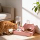 thumbnail image 1 of Cuenco de acero inoxidable para gatos con dispensador automático de agua, comedero para mascotas 2 en 1, bebedero de gravedad limpio e infalible para mascotas pequeñas y medianas. Cuenco de plástico p, 1 of 6