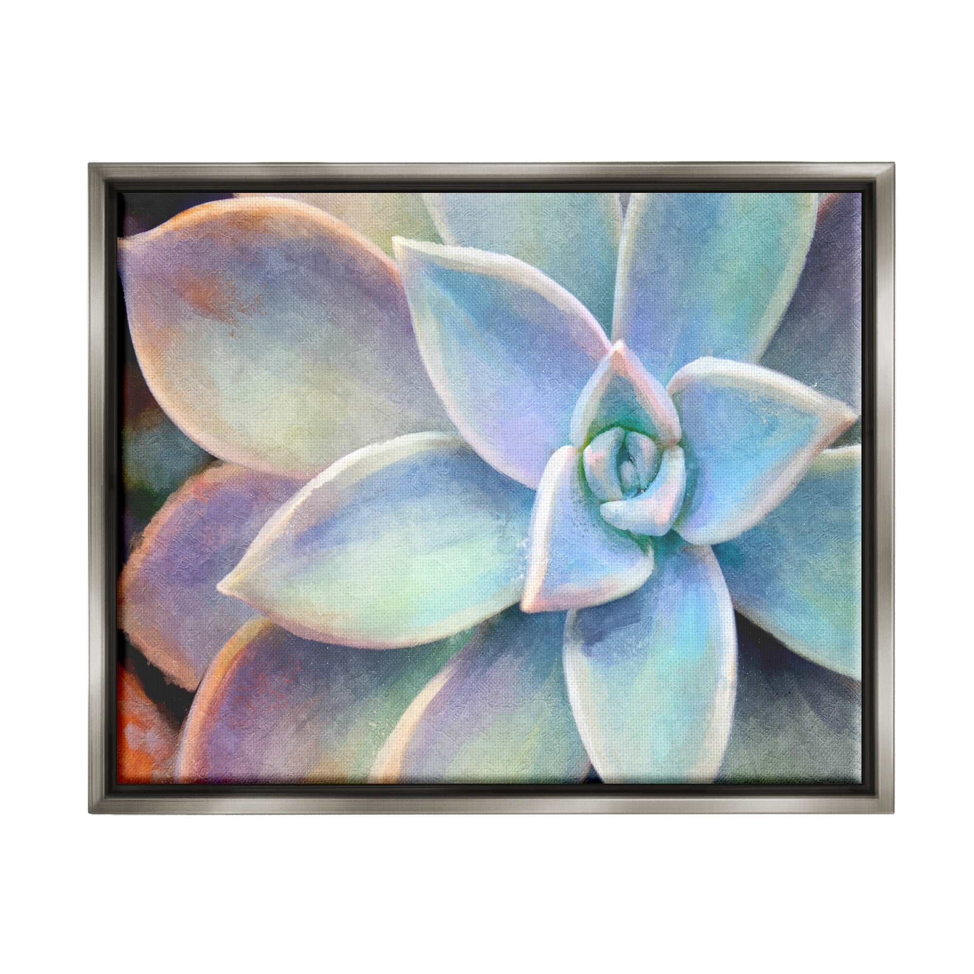 Stupell Industries Succulent Plant Vibrant Bloom Painting Luster Gray Framed Floating Canvas Wall Art, 16x20, by Joshua Chace