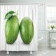 thumbnail image 1 of ABPHQTO Media cortina de ducha 150x180 cm verde entero cítricos lima fruta fresca hoja blanca, 1 of 1