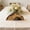 Brown, variant on 7pcs Easter Wooden Empty Tomb Resurrection Set - Cross Accent Tabletop Decor for Religious Easter Display, Handcrafted Wood Tomb Ornament, Durable Easter Spring Holiday Craft, Brown