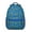 Blue, variant on Fruity Fresh Summer Backpack - Ergonomic Student Bag with Side Pocket for Bottles