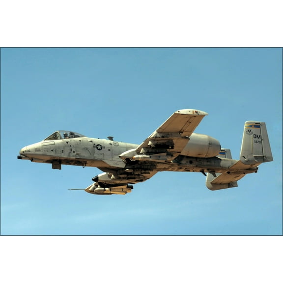 24"x36" Gallery Poster, A-10 Thunderbolt warthog 354th Fighter Squadron