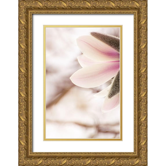 Shumilova, Ludmila 13x18 Gold Ornate Wood Framed with Double Matting Museum Art Print Titled - Almost spring