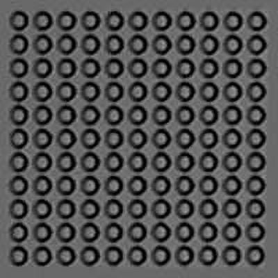 Rome Tech Apple iPhone 11 Pro Shell Holster Combo Case With Belt Clip