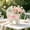 Pink, variant on Storage Basket with Wheels, Faux Rattan Woven Pram Shaped Cart Organizer for Flowers Fruits Snacks, Mobile Bin with Handle for Living Room Garden, Photo Prop Decor Gift