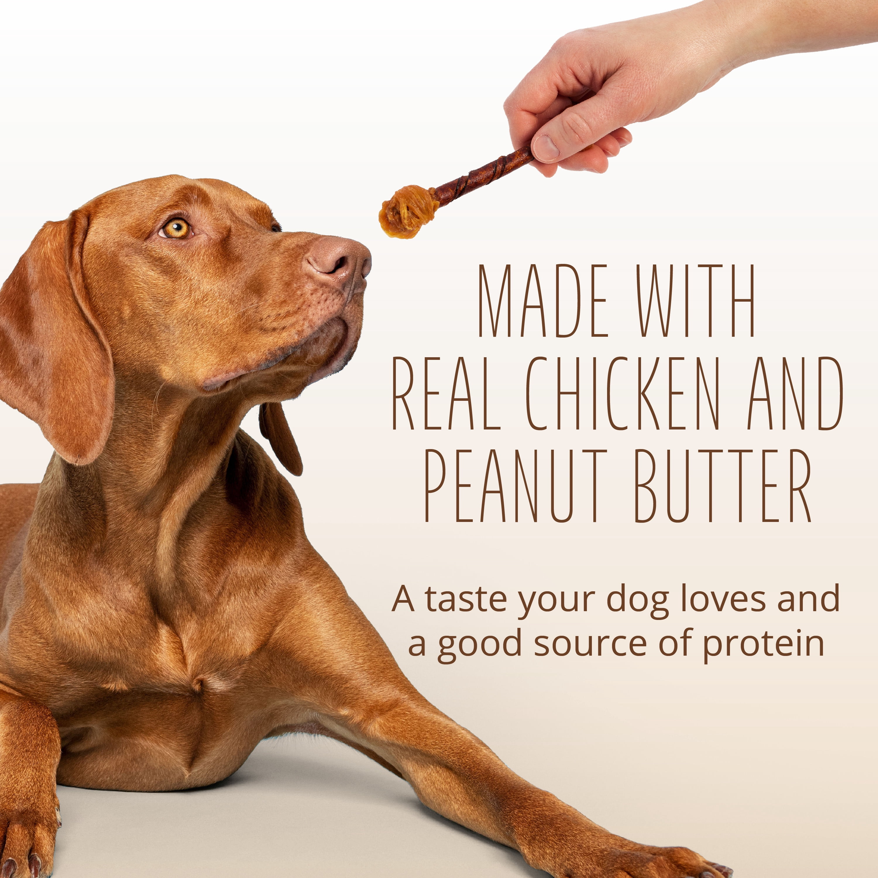 Better Belly Double Pops with Real Chicken and Peanut Butter, Highly Digestible Rawhide, 10 Count