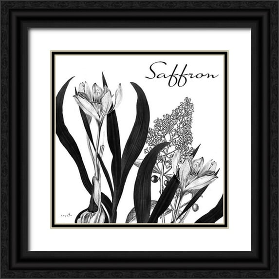 Sophie 6 26x26 Black Ornate Wood Framed with Double Matting Museum Art Print Titled - Flowering Herbs Saffron