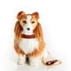 thumbnail image 2 of THE QUEEN'S TREASURES 18 Inch Doll Pets, Collie Puppy Dog with Collar & Leash Accessory, Compatible for Use with American Girl Dolls, 2 of 5