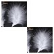 thumbnail image 3 of Toystoory 50 Uds ala de vacaciones decoración de plumas colgante de pared árbol de Navidad adorno para el hogar Blanco 2piezas, 3 of 6