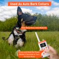 thumbnail image 3 of PetJoy Shock Collar, paquete de 3 con mando a distancia, alcance de 1000 m, 3 of 9