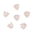 thumbnail image 1 of 6-Petal Imitation Jelly Acrylic Bead Caps AB Color Plated Flower Wheat 11.5x10.5x8.5mm Hole: 1.4mm, 1 of 3