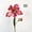 4, variant on Vintage Artificial Iris Stems with Buds for Vase Centerpieces Home Décor