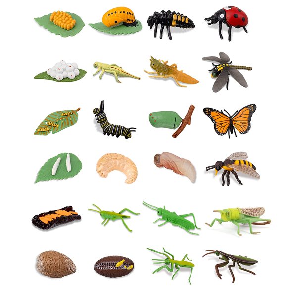 Odowalker Set de 24 Figuras del Ciclo de Vida de Insectos