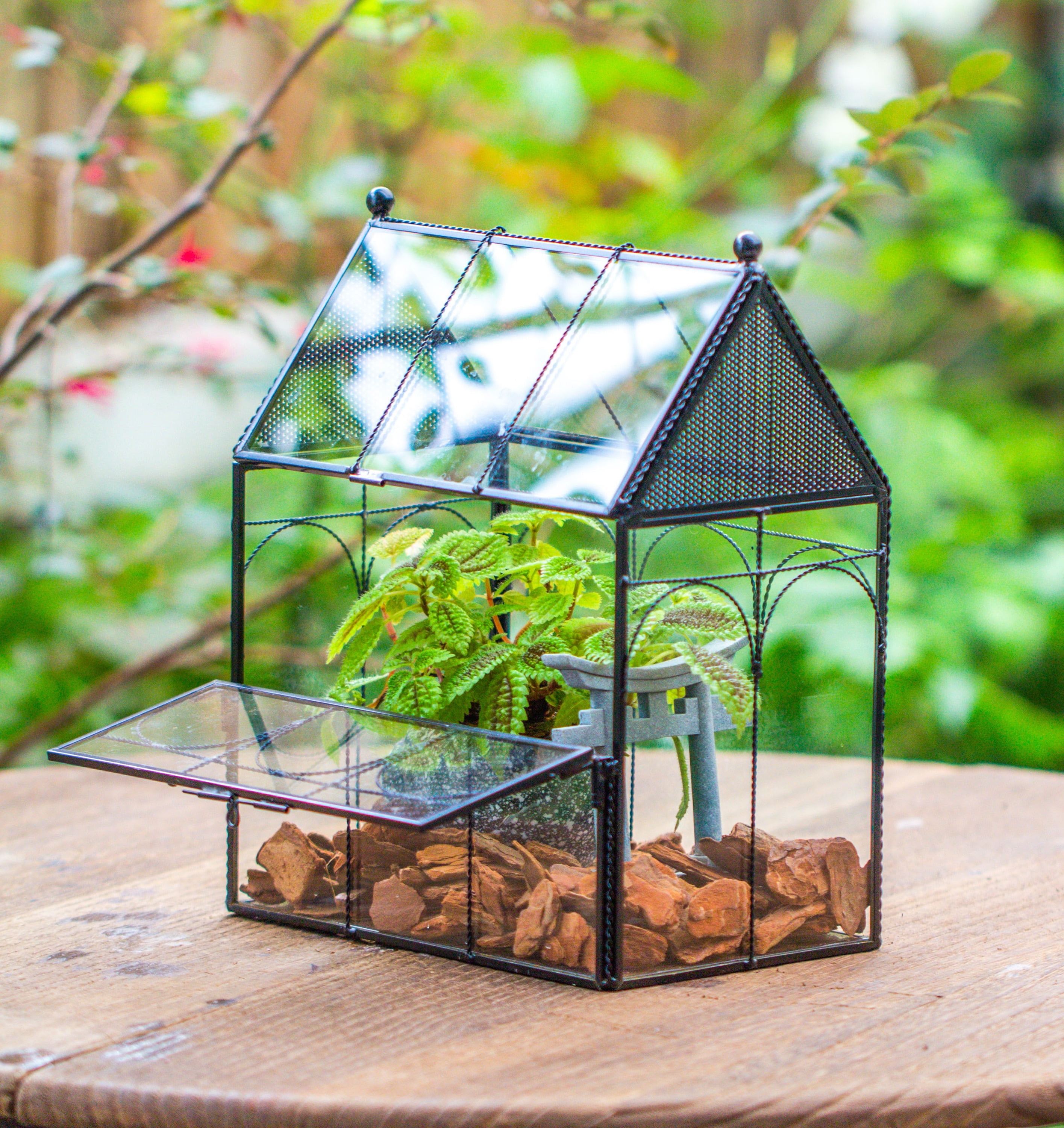 NCYP Glass Terrarium Enclosure with Vents for Insects and Spiders, Front Open