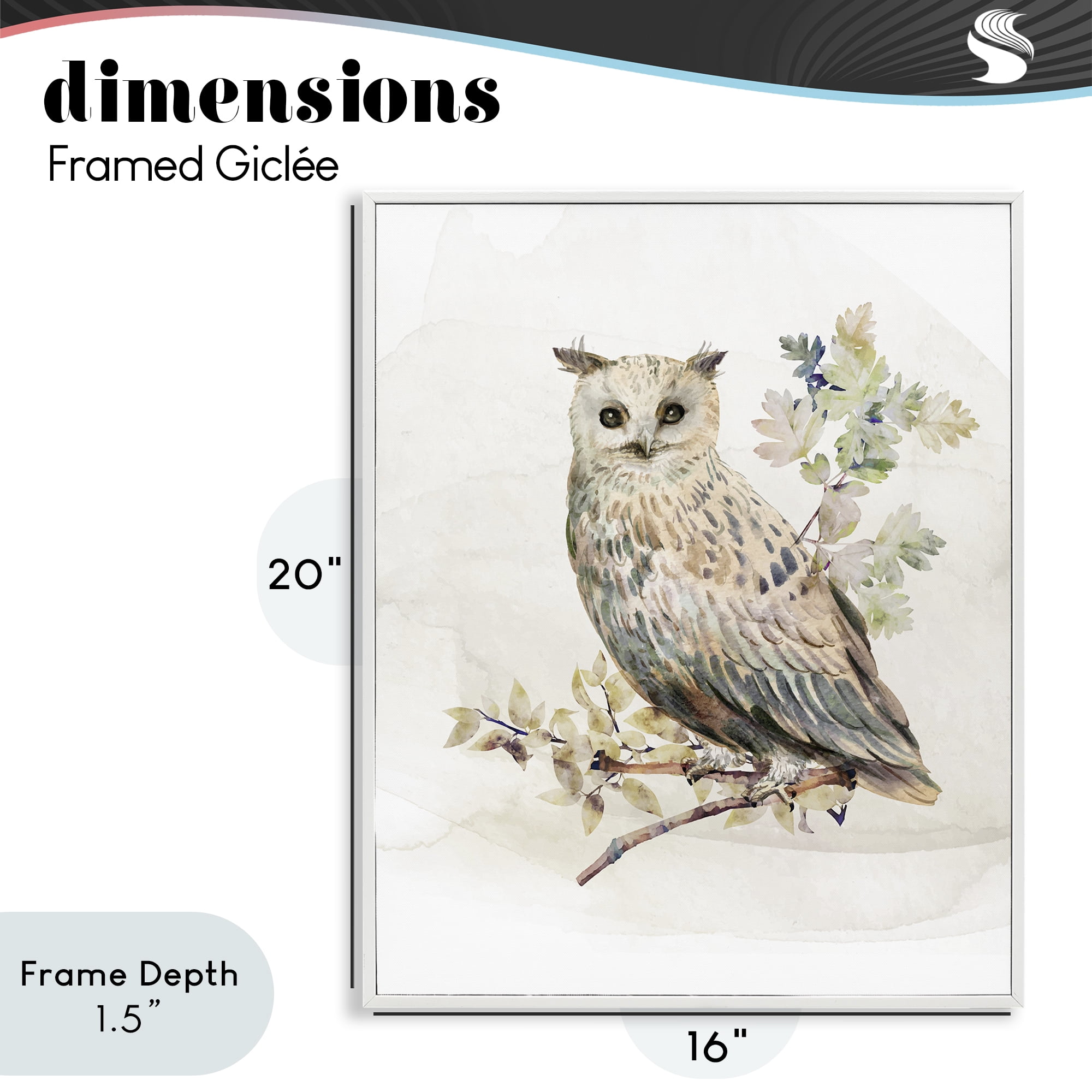 Stupell Industries Forest Owl with Foliage White Framed Giclee Art, design by CAD Designs