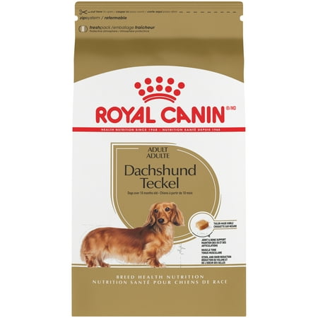 UPC 030111451613 product image for Royal Canin Dachshund Adult Dry Dog Food, 10 lb | upcitemdb.com