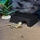 thumbnail image 5 of Adorno para terrario de reptiles, escondite para reptiles, cueva para cangrejos ermitaños, refugio para reptiles, juguete para comer, 5 of 7