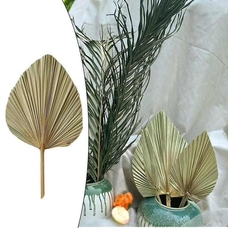 Greta Natural Dried Palm Leaves Pack of 12 Heart Oval Shape Dried Palm  Spears for Wedding House Party Kitchen Decoration Indoor Outdoor Occasions  : Buy Online at Best Price in KSA 