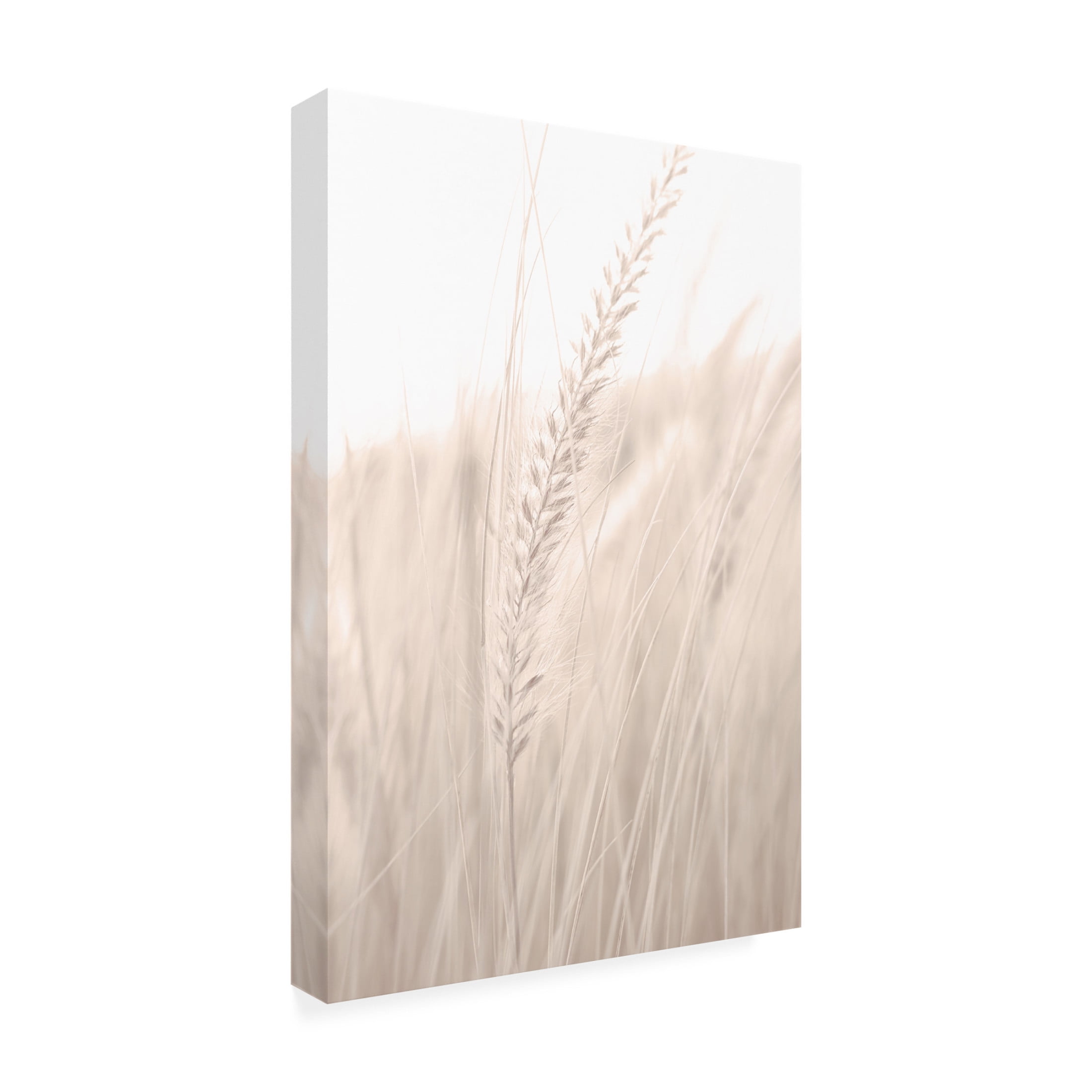 Trademark Fine Art Pictufy Studio Grass Canvas Wall Art