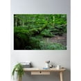 thumbnail image 2 of Forest Consuming Poster Wall Art, Modern Wall Decor, 12x18 UNFRAMED, 2 of 3