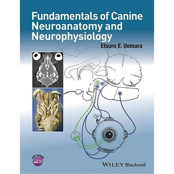 Fundamentals of Canine Neuroanatomy and Neurophysiology, (Paperback)