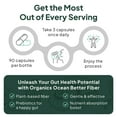 thumbnail image 3 of Organics Ocean Better Fiber Supplement with Psyllium Husk & Slippery Elm – 90 Capsules – Gut & Digestive Support, 3 of 9