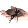 thumbnail image 1 of Neinkie Tarantula, Stretchy Toy Super Stretchy Animal Replicas That Feel Real, Great for Kids, 1 of 6