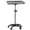 Green, variant on Salon Tray On Wheels Tattoo Tray Rolling Trolley Adjustable Height Storage Utility Cart for Clinic Spa Rolling Tray (Silver)