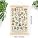 thumbnail image 2 of Wall Art Prints Colorful Rustic Style of Floral Wall Hanging Illustrative Reference Flower Chart Poster for Living Room Office Bedroom Decor Frame 15., 2 of 4