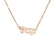 thumbnail image 2 of Collar de amistad Sonducket con letras en inglés oro rosa, 2 of 6