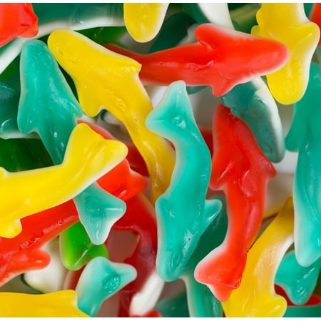 assorted gummy candy bulk sharks pounds sweetgourmet foam bottom