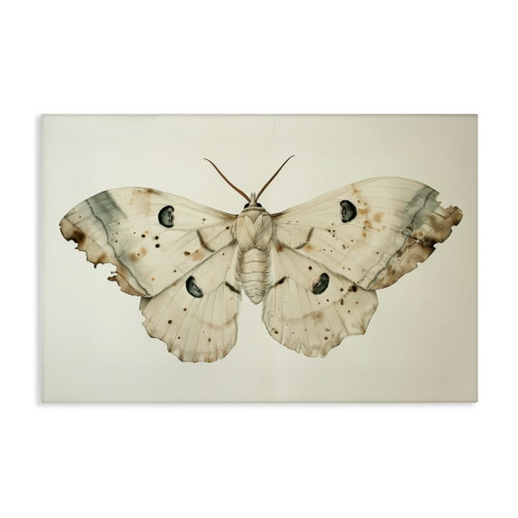 Stupell Industries Vintage Beige Moth Animals Painting Wrapped Canvas Art Print Wall Art, 24 x 16