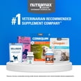 thumbnail image 5 of Nutramax Cosequin for Cats Joint Health Supplement, Soft Chews, 60 Count, 5 of 10