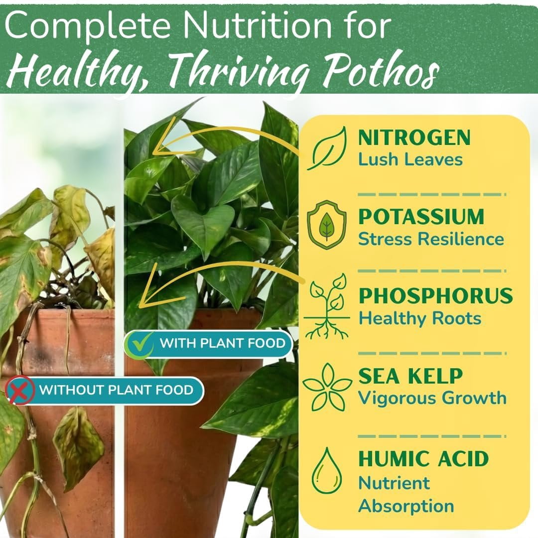 Pothos Fertilizer - Liquid Fertilizer for Indoor House Plants - Essential Plant Nutrients for Neon Pothos or Devils Ivy - Urea-Free - NPK Ratio of 3-3-3 for Healthy Roots, Stems, Leaves 8 Ounces