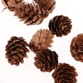 thumbnail image 4 of 60Pcs Conos de Pino Secos Naturales Favor de Fiesta Decoración de La Boda Adornos para El Hogar SM SunniMix Conos de pino natural, 4 of 8